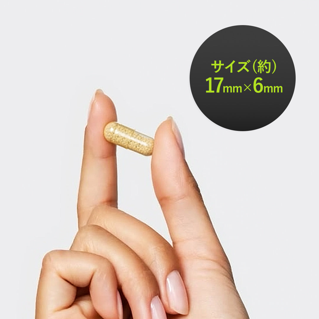 【お試しサイズ】AGRelux ZONIQ 集中サポートサプリメント 1週間分 14錠※おひとり様1点まで